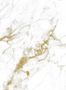 7175_2_Wandbild_Marble_5_Kek_Amsterdam_WP_555-62596
