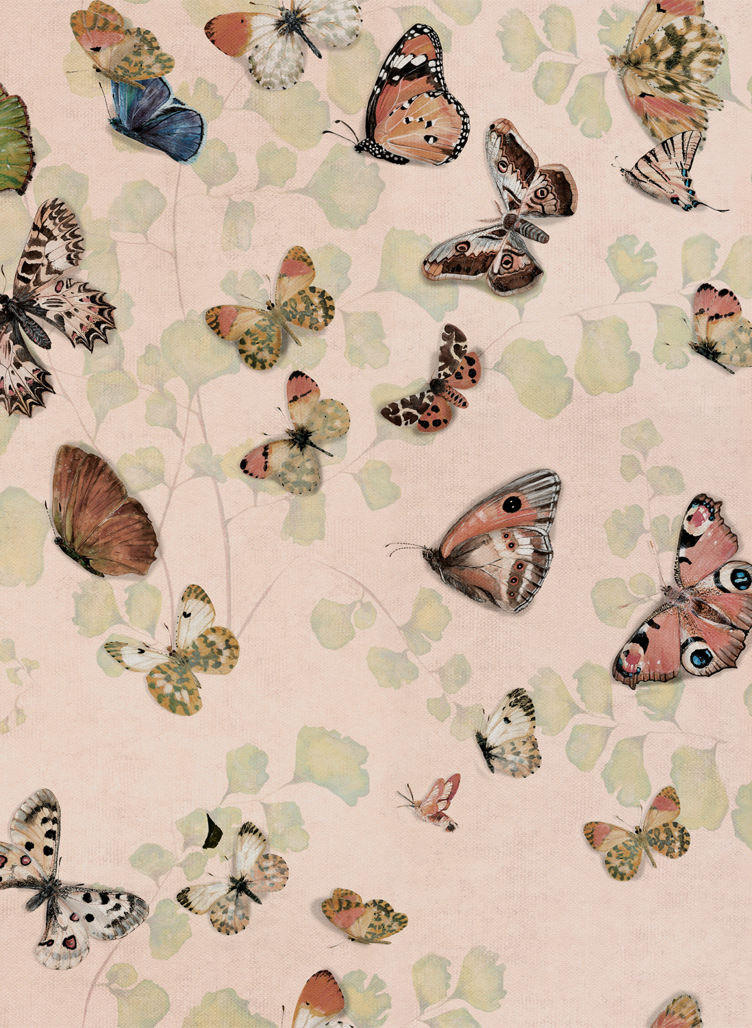 Wallpaper Magic butterflies - Sweet