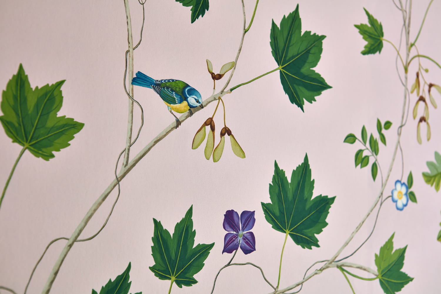 Wandbild Sycamore and Oak - Wild Rose