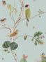 2466_2_sanderson_woodland_chorus_dwow215706-25448