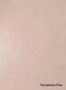 Terrastone-Fine-01-Rosa-Cipria-colour-sample-named-190444
