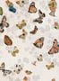 8504_2_Coordonne_Tapete_Magic_Butterflies_9500051-70133