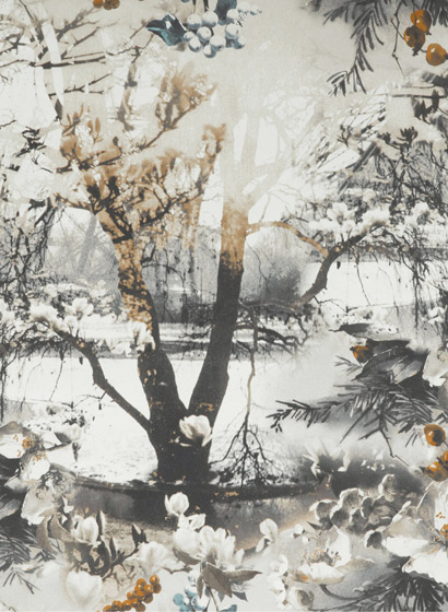 Tapete Brume - Terre