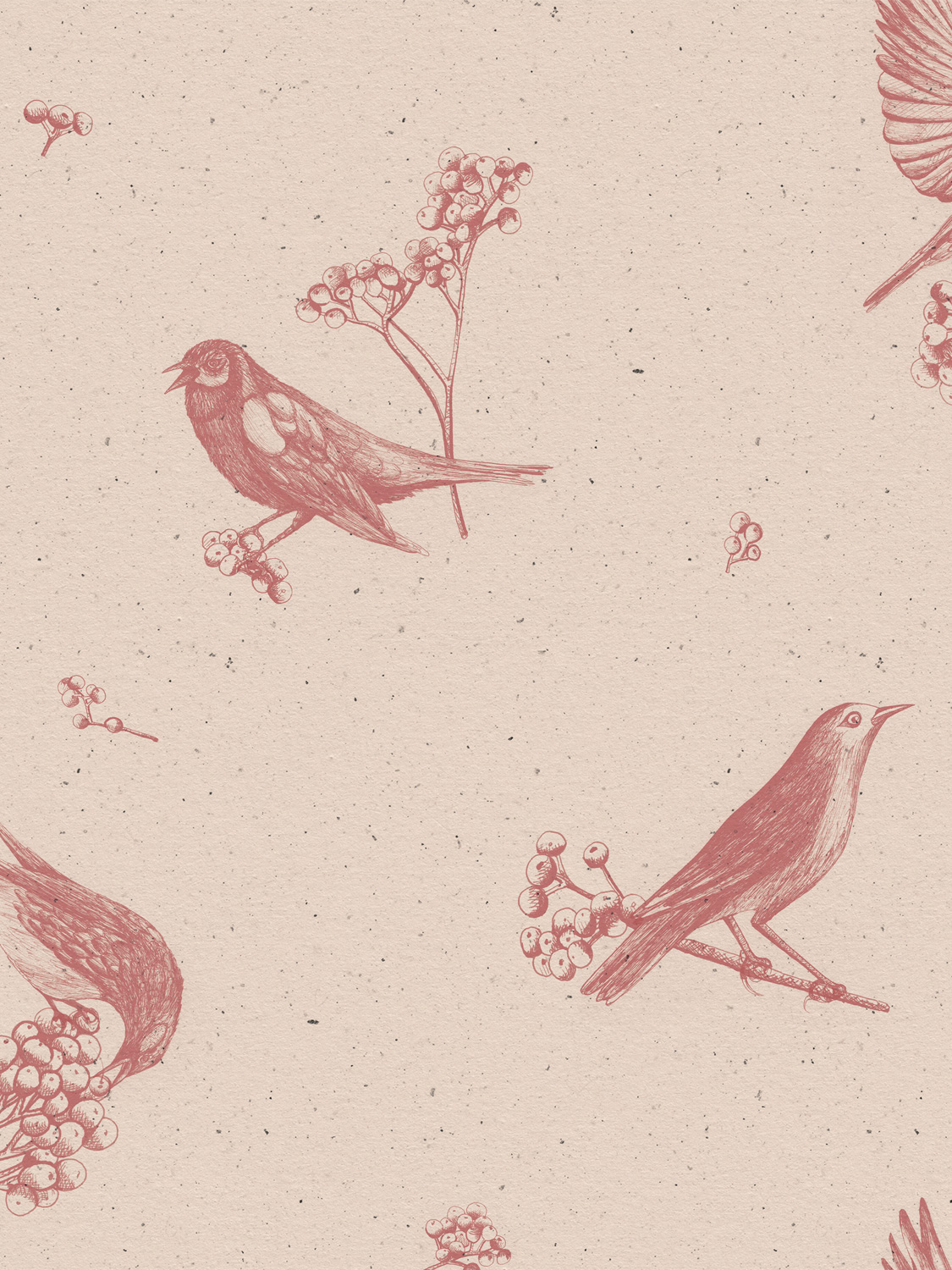 Tapete Sweet Birds - Rose