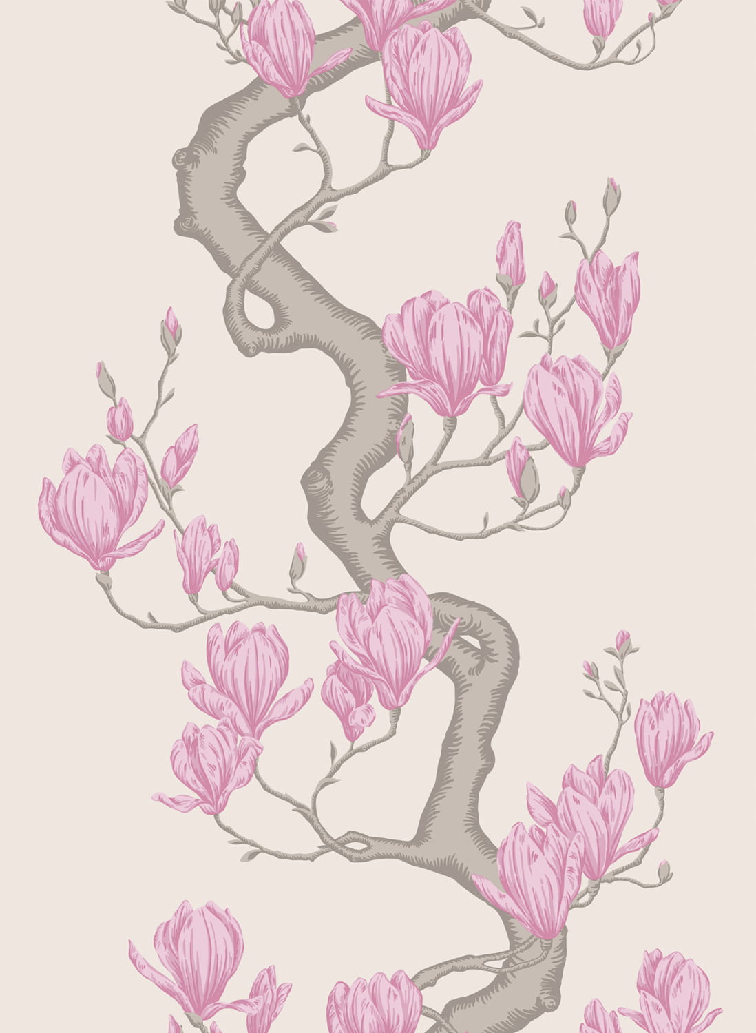 Tapete Magnolia Tree - Parchment and Soft Fuchsia
