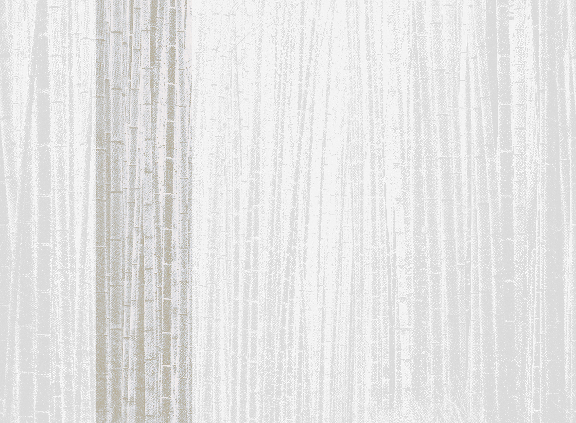Wandbild Arashiyama - Neutral Panel 2