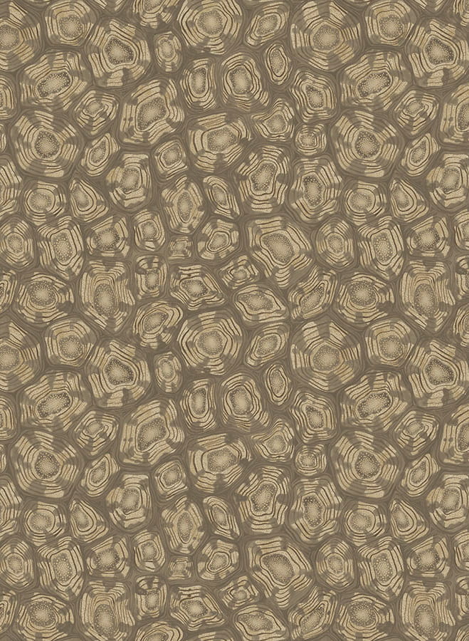 Tapete Savanna Shell - 119/4020