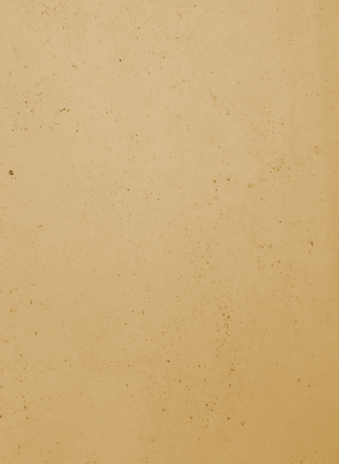 Gelbocker - 8