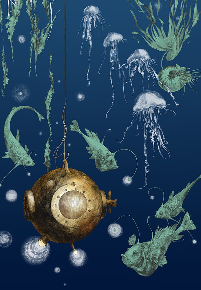Tapete Nautilus/Méduses/Nénuphars - Marine - Nautilus gauche - Marine