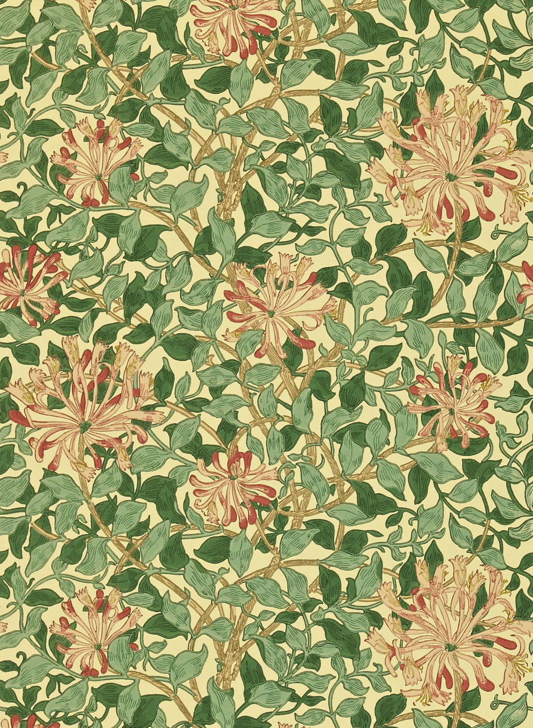 Tapete Honeysuckle - Green/ Coral/ Pink