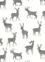 18731_01_Thibaut_Bucks_T12061-187489