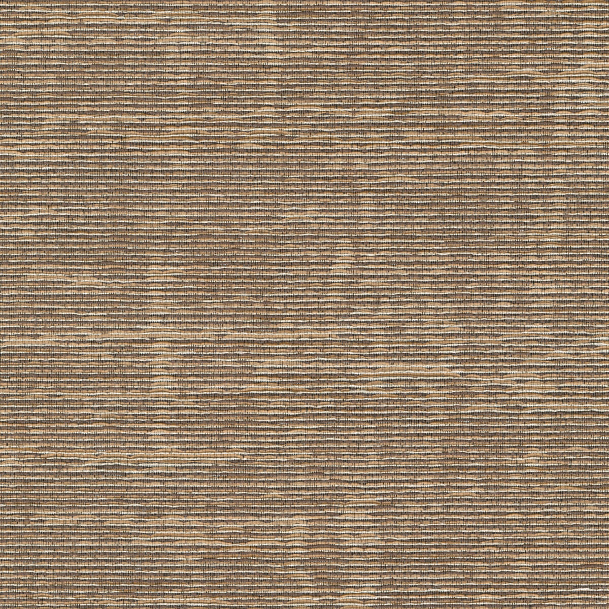 Tapete Sediment - RM 1122 06