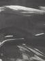 9288_1_Coordonne_Marine-Xray-Metallics_Onyx_A00144-80043