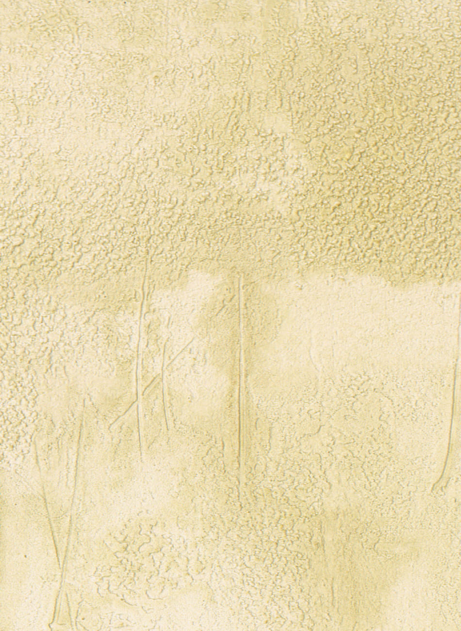 Tapete Agrigente - VP 960 86