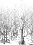 4648_1_isidore_leroy_foret_enchantee_6241604-57962