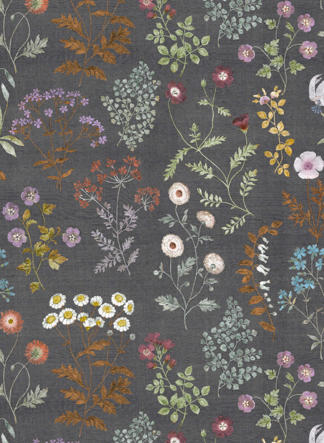 Wandbild Botanica - 9409W