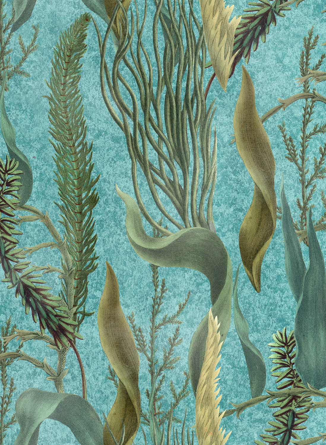 Tapete Aquatic Plants - WP20716