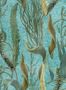 14955_01_Mindthegap_Aquatic_Plants_WP20716-139877