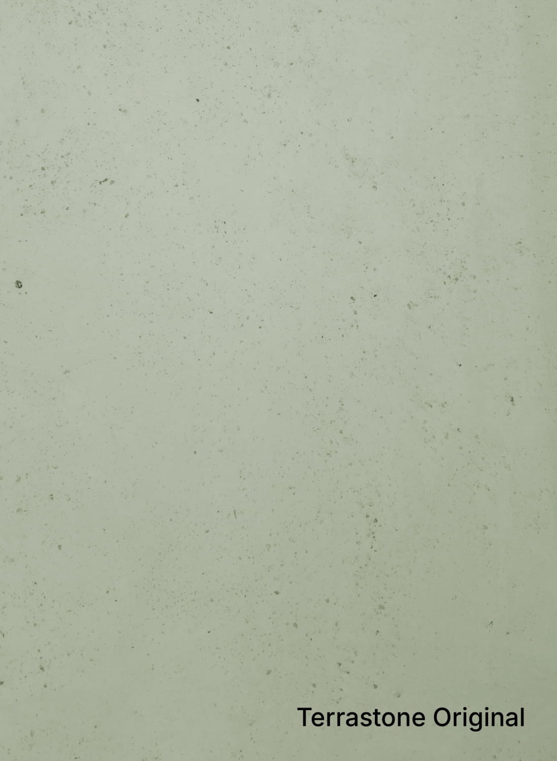 Lichtgrün - 4