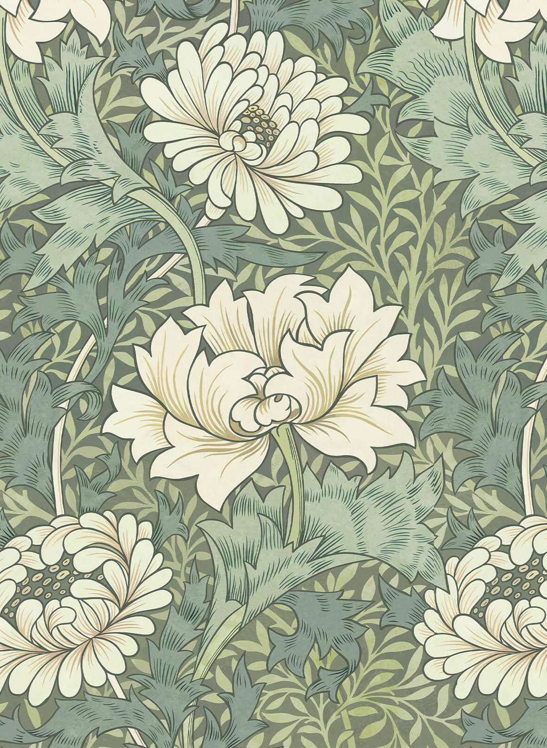 Tapete Chrysanthemum Magna - Sap
