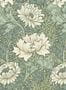 15306_03_House_of_Hackney_Chrysanthemum_Magna_1-WA-CHM-DI-SAP-XXX-004-169961