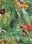 9522_1_Coordonne_Neo-Vegetable_8800006N-95163