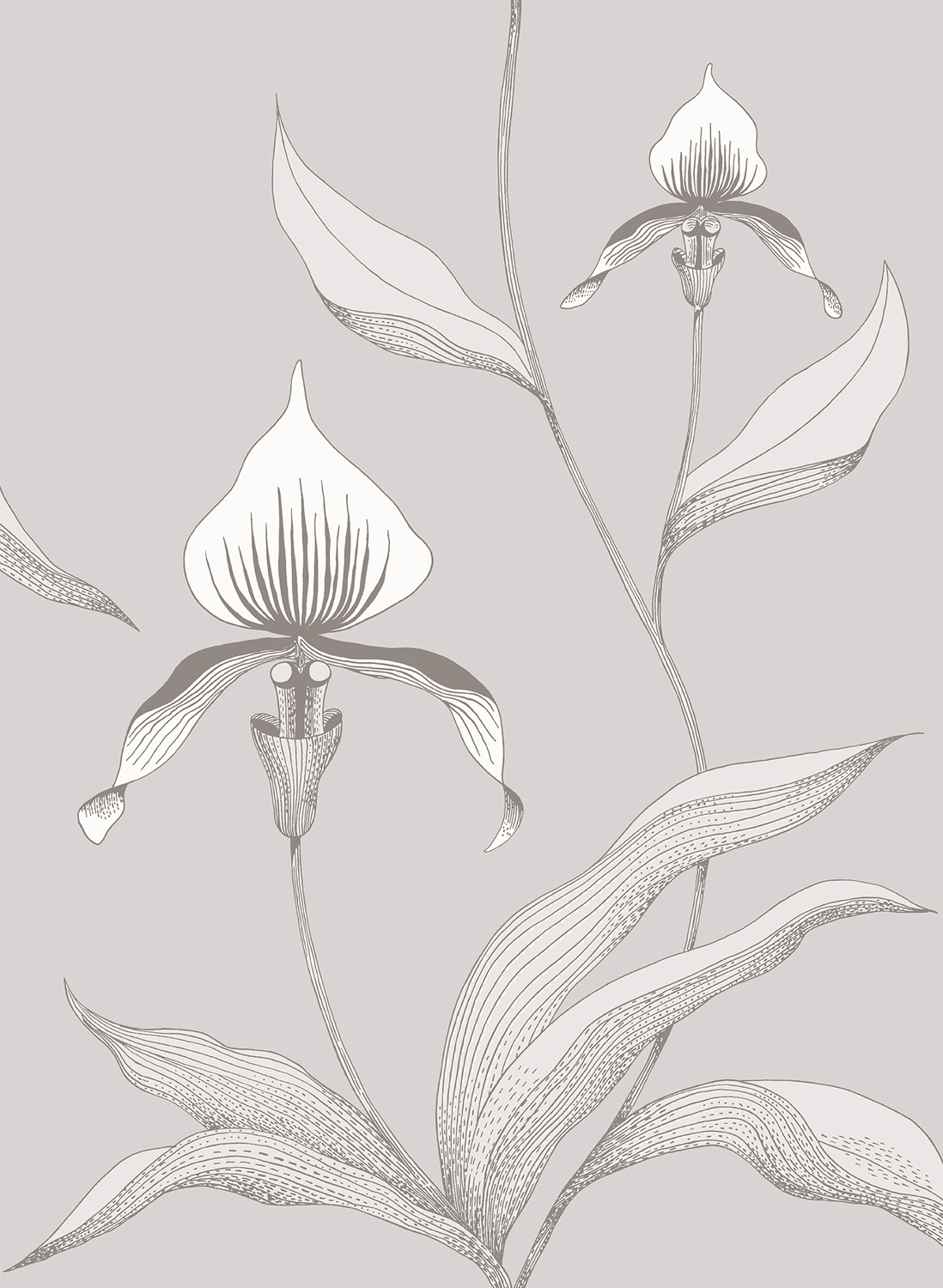 Tapete Orchid - Grey on White