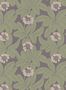 14718_3_Langelid_von_Broemssen_Primula_38-58-117371