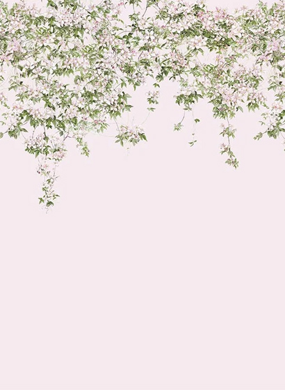 Wandbild Clematis