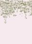 5513_2_sian-zeng_classic-clematis-mural_pink-58977