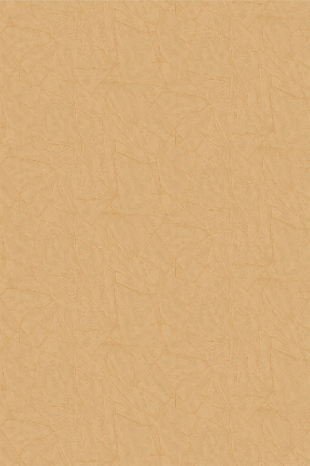 Tapete Kintsugi - VP 1004 12