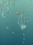 4470_6_edmond-petit_nenuphars-gauche_turquise_rm114-02-53780
