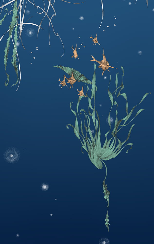 Tapete Nautilus/Méduses/Nénuphars - Marine - Nénuphars gauche - Marine