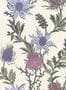 4069_2_cole-and-son_thistle_115-14044-31737