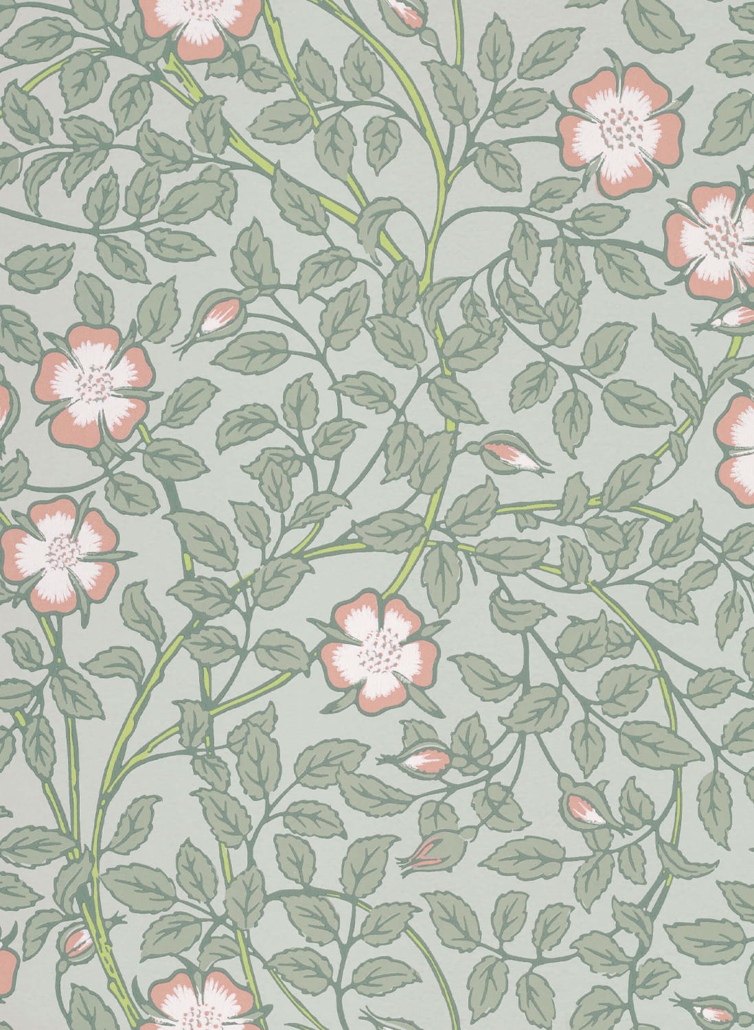 Tapete Briar Rose - Salix