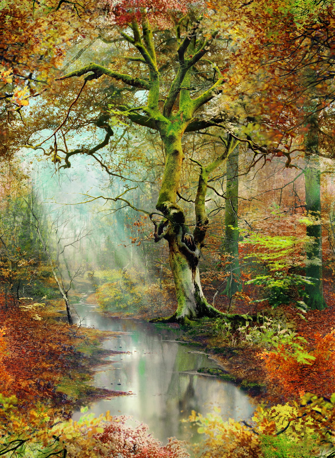Wandbild Sous Bois - Forêt