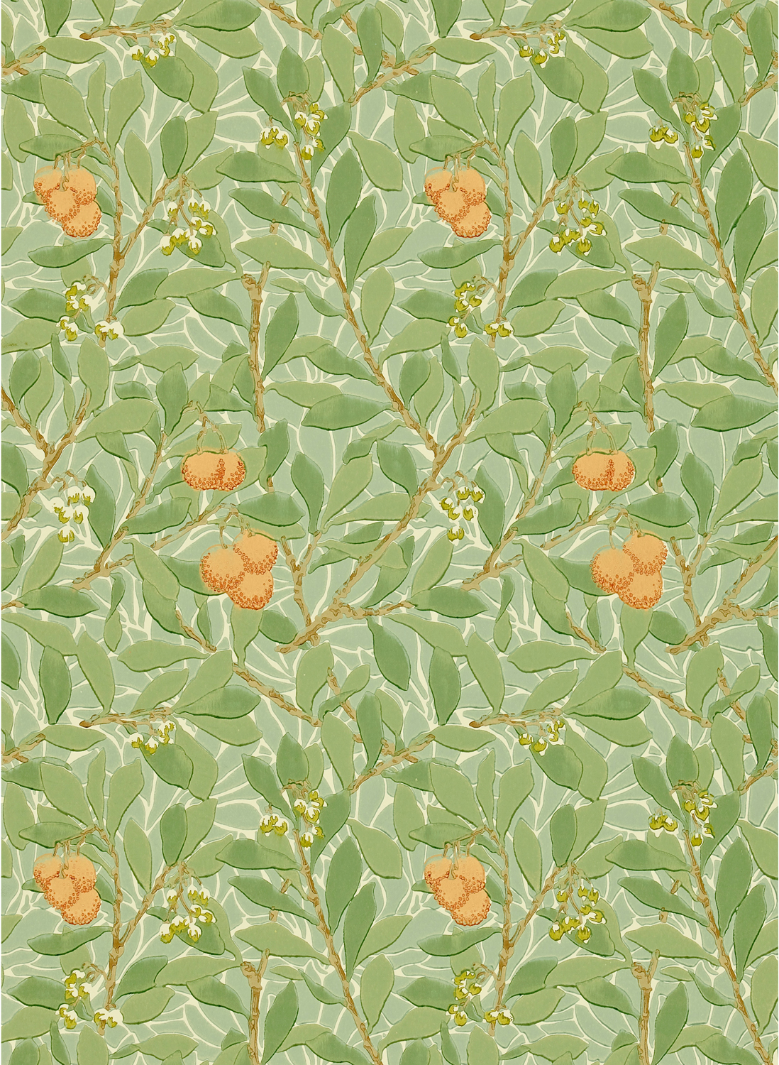 Tapete Arbutus - Green/ Terracotta