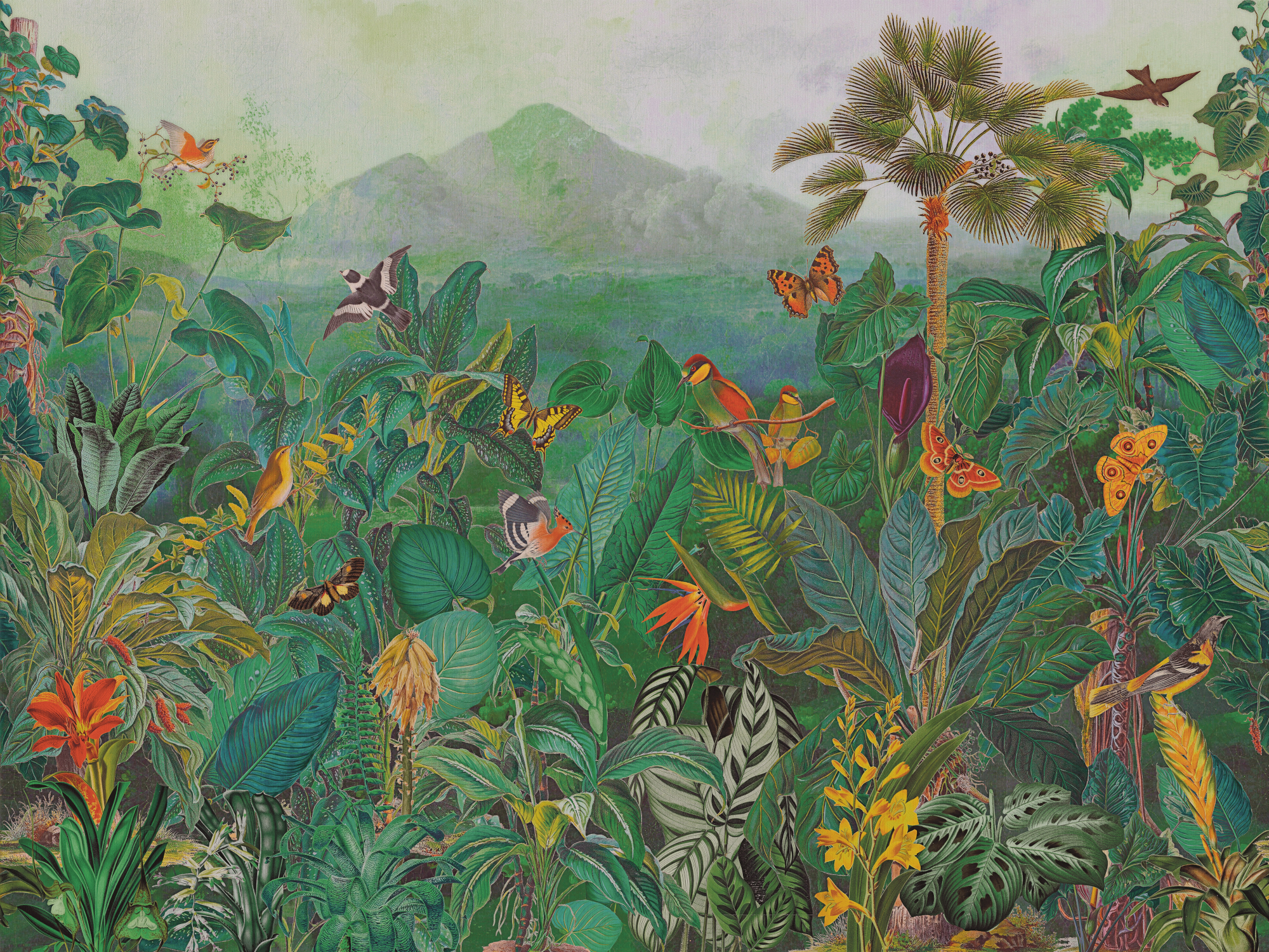 Wandbild The Tropics - BOP401