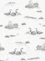 16338_05_Coordonné_Mallard_Duck_YSP0538-152817