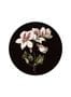 6111_1_KEK_Amsterdam_White_Flowers_Circle_S_SC-071-74191