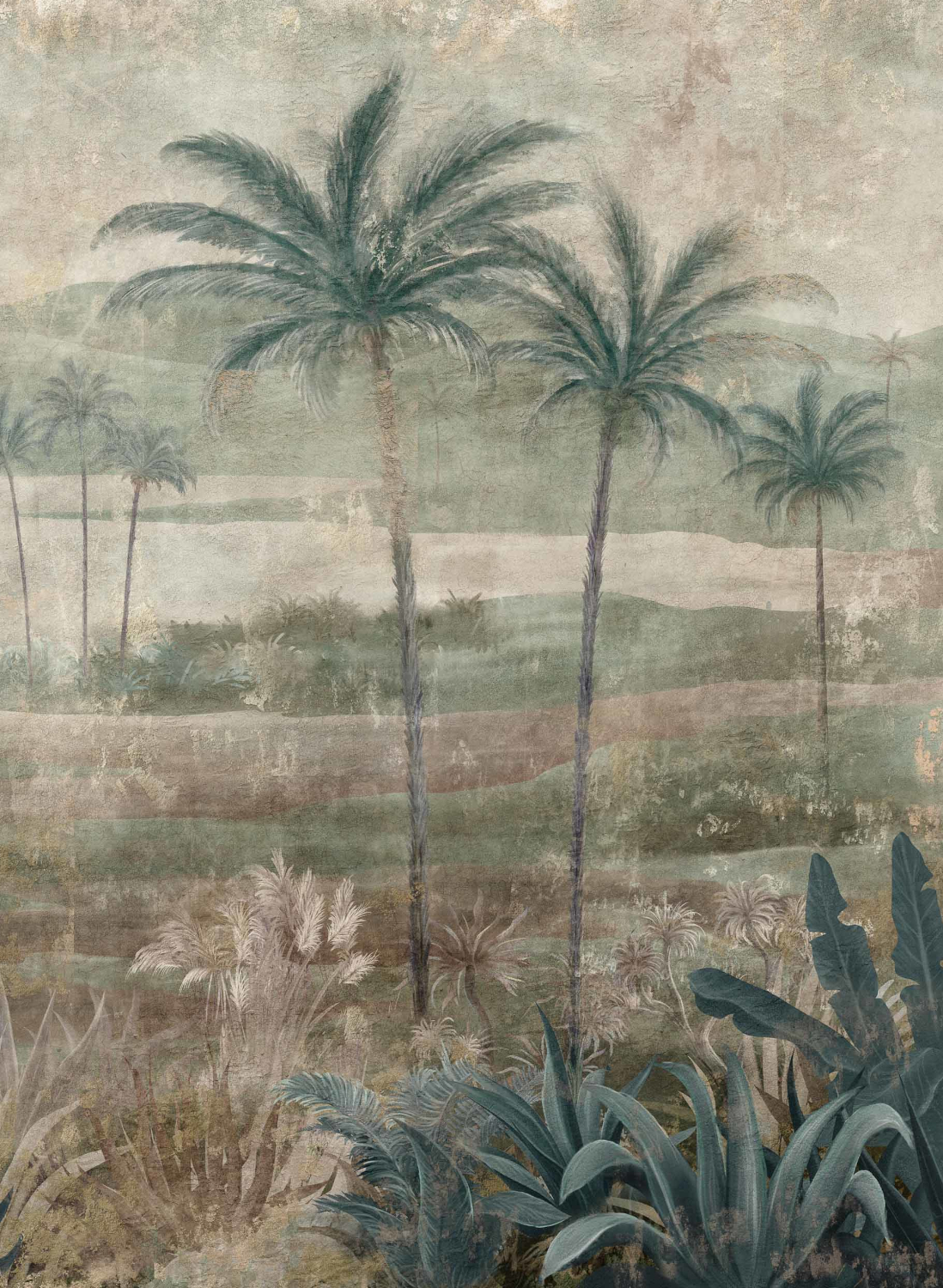 Wandbild Draa Palms - Sage
