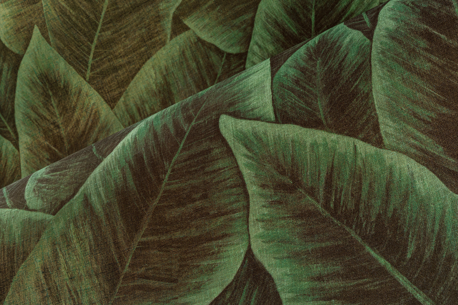 Tapete Bird Of Paradise - Emerald