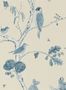 2466_4_sanderson_woodland_chorus_dwow215705-25450