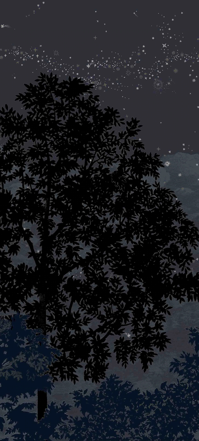 Wandbild Eclipse Nocturne - Panel C