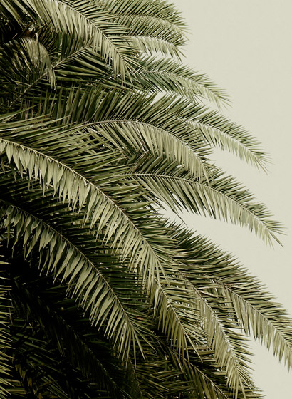 Wandbild Leaf Love - Original