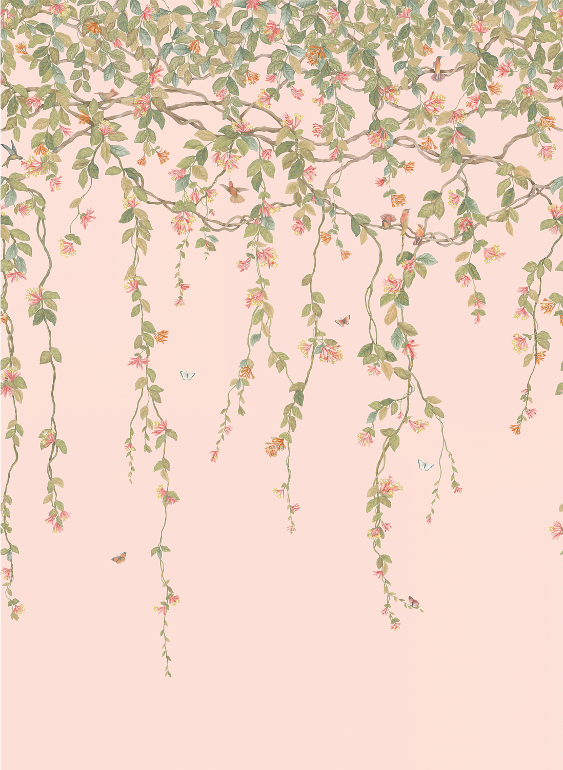 Tapete Hummingbirds Flora - Tangerine/ Olive on Blush