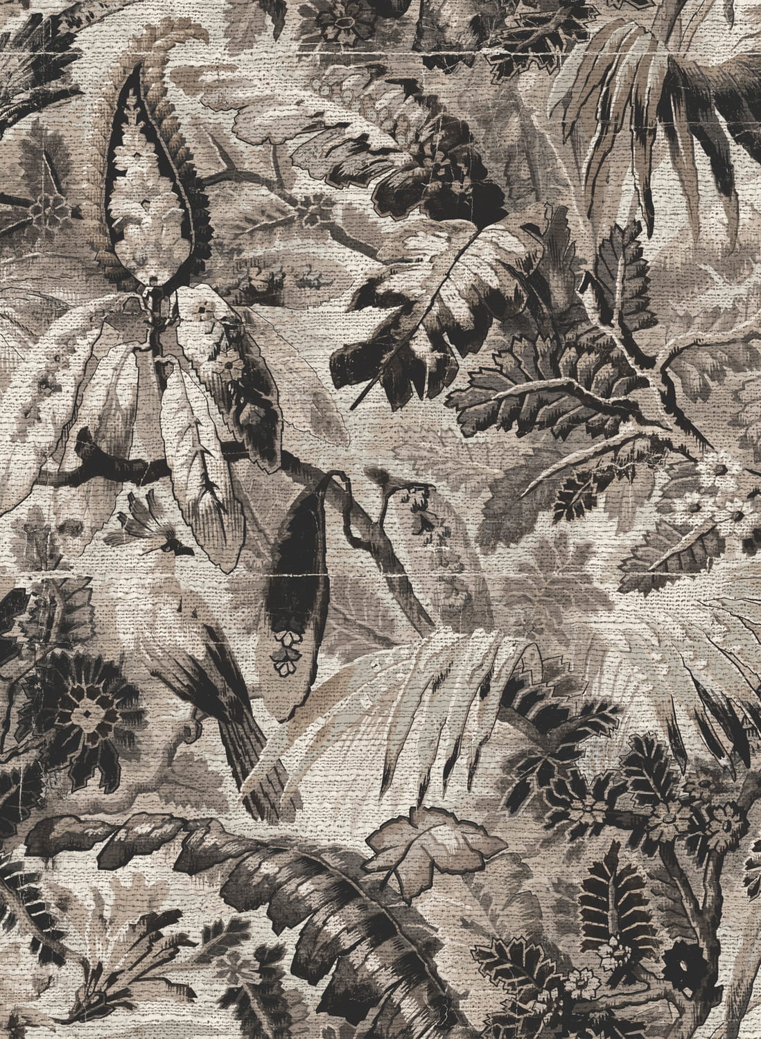Tapete Tropicali - Black Sepia