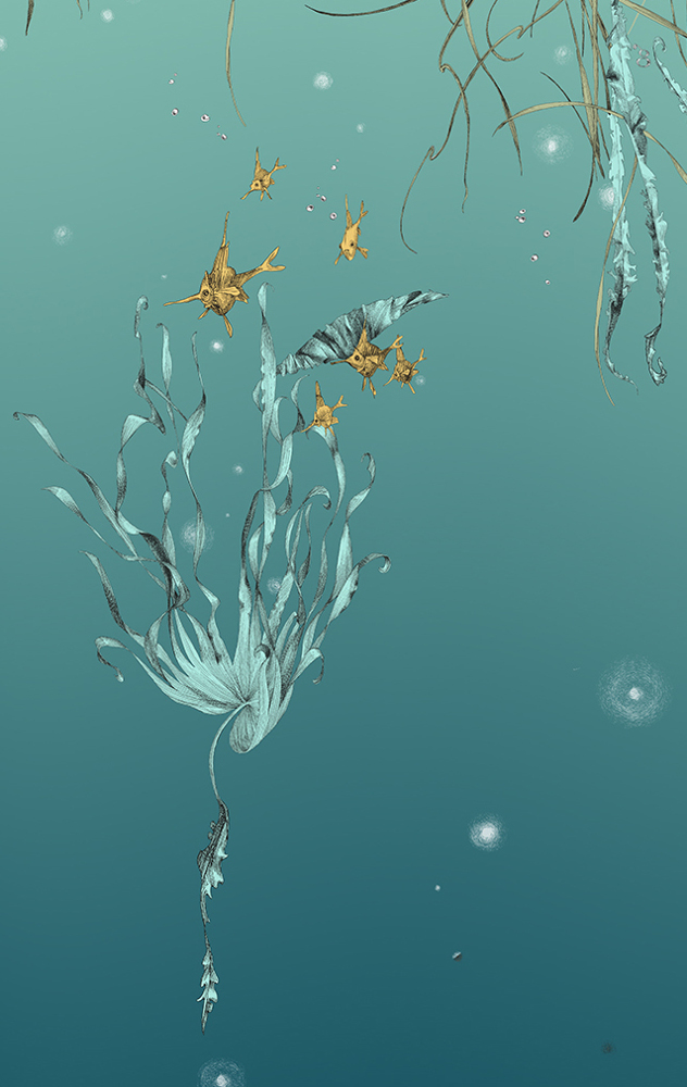 Tapete Nautilus/ Méduses/ Nénuphars - Turquoise - Nénuphars droit - Turquoise