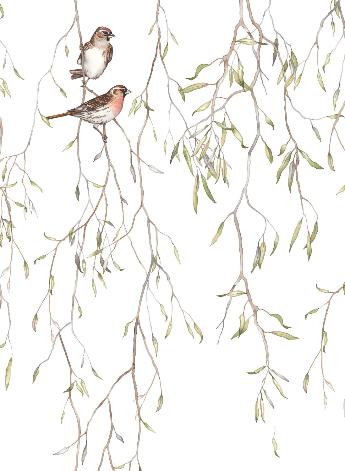 Carta da parati panoramica Spring Birds