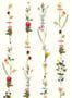 4565_1_eijffinger_flower_garland_341087-57453